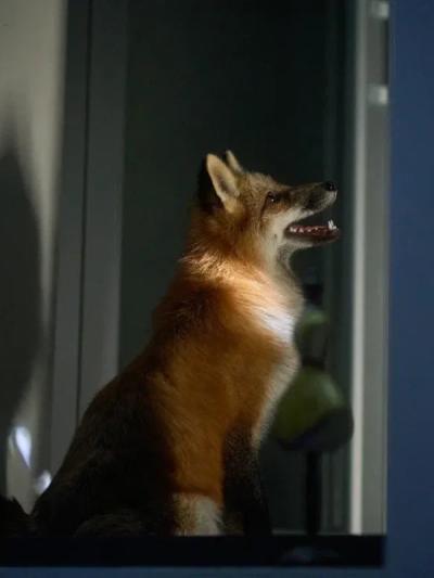 Обложка фильма Конкурс игрового кино - 