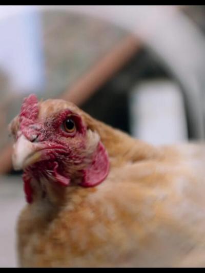 Обложка фильма Конкурс игрового кино - 